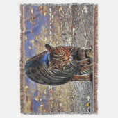 Niedliche Katzen-Sammlung 12 Decke (Vorderseite Vertikal)