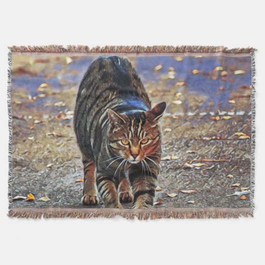 Niedliche Katzen-Sammlung 12 Decke (Vorderseite)