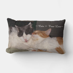 Niedliche Katzen schlafen Wahre Love Pillow Lendenkissen