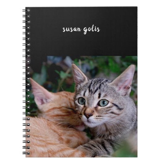 Niedliche Katzen Spiral Foto Notebook Notizblock (Vorderseite)