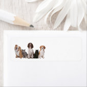 Niedliche Katzen und Hunde (Insitu)