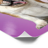 Niedliche Katzen und Hunde Willkommen Poster (Ecke)