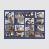 Niedliche Katzen und Kätzchen-Fotomaterial auf Nav Seidenpapier (Vorderseite)