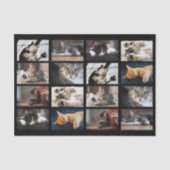 Niedliche Katzen und Kätzchen-Fotopatalog auf Schw Seidenpapier (Vorderseite)