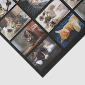 Niedliche Katzen und Kätzchen-Fotopatalog auf Schw Seidenpapier (Ausschnitt)