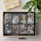 Niedliche Katzen und Kätzchen-Fotopatalog auf Schw Seidenpapier (Geschenk)