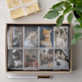 Niedliche Katzen und Kätzchen Fotovorlage auf Grau Seidenpapier (Geschenk)