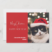 Niedliche Katzen-Urlaubskarte Feiertagskarte (Vorderseite)