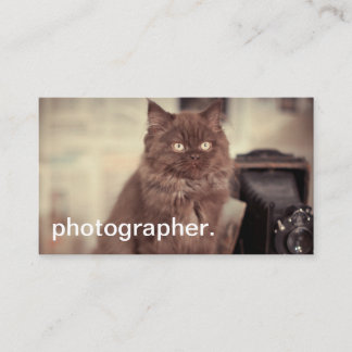 Niedliche Katzen-Vintager Kamera-Fotograf Visitenkarte