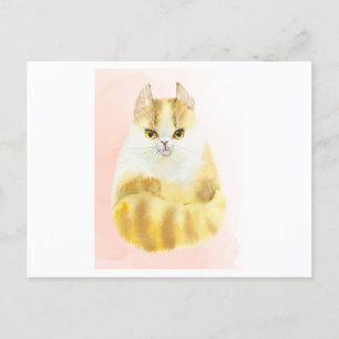 Niedliche Katzenfarbe Postkarte