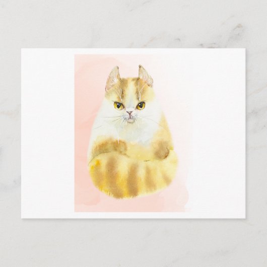 Niedliche Katzenfarbe Postkarte (Vorderseite)