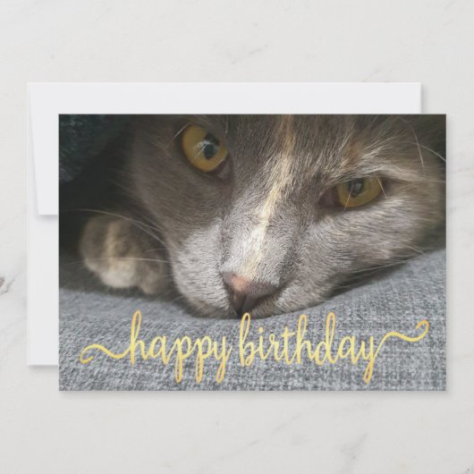 niedliche Katzenkalligraphie zum Geburtstag - Foto Einladung (Vorderseite)