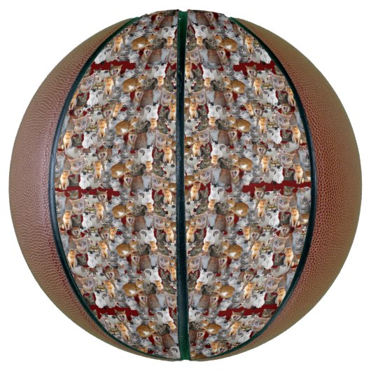 Niedliche Katzenkollage Basketball (Vertikal)
