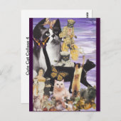 Niedliche Katzenkollektion 4 Postkarte (Vorne/Hinten)