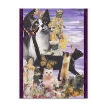 Niedliche Katzenkollektion 4