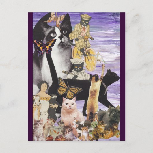 Niedliche Katzenkollektion 4 Postkarte (Vorderseite)