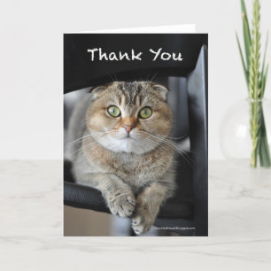 Niedliche Katzenkuschenkatze danke Karte