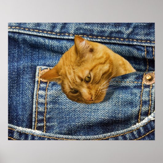 Niedliche Katzenliebhaber Sake-Geschenk Poster (Vorne)