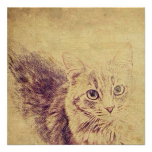 Niedliche Katzenliebling Poster