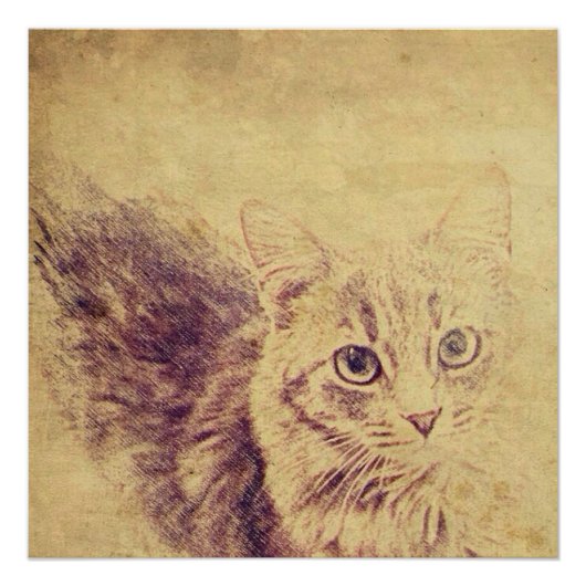 Niedliche Katzenliebling Poster (Vorderseite)