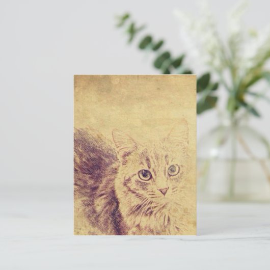 Niedliche Katzenliebling Postkarte (Stehend Vorderseite)