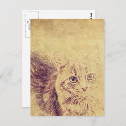 Niedliche Katzenliebling Postkarte (Vorne/Hinten)