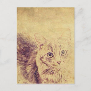 Niedliche Katzenliebling Postkarte