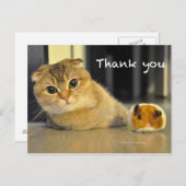 niedliche Katzennudelkatzenjacke danke Postkarte (Vorne/Hinten)