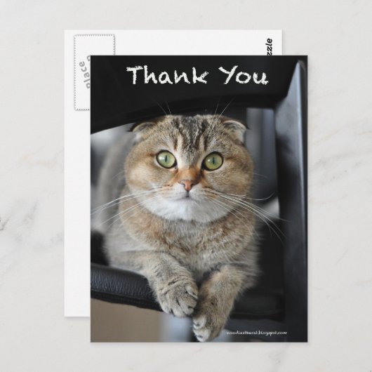 Niedliche Katzennudelkatzenjacke danke Postkarte (Vorne/Hinten)