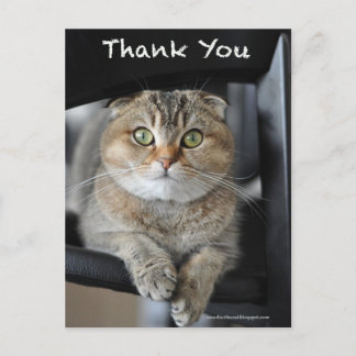 Niedliche Katzennudelkatzenjacke danke Postkarte