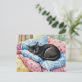 Niedliche Katzenpilze für die Schlafkiste Postkart Postkarte (Stehend Vorderseite)