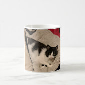 Niedliche KatzenTasse Kaffeetasse (Mittel)