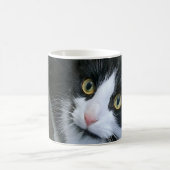 Niedliche KatzenTasse Kaffeetasse (Mittel)