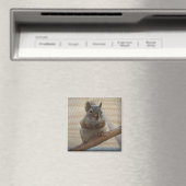 Niedliche kauernde Eichhörnchen auf Ast Magnet (In Situ (Geschirrspüler))