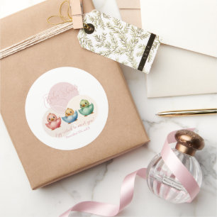 Niedliche Kawaii Eiervögel Pastellfarben Kinderdus Runder Aufkleber