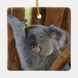 Niedliche Keramik Koala Keramikornament
