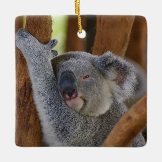 Niedliche Keramik Koala Keramikornament (Vorderseite)