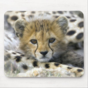 Niedliche Kinderkäse Mousepad