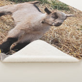 Niedliche KindSherpa Decke Sherpadecke (3/4)