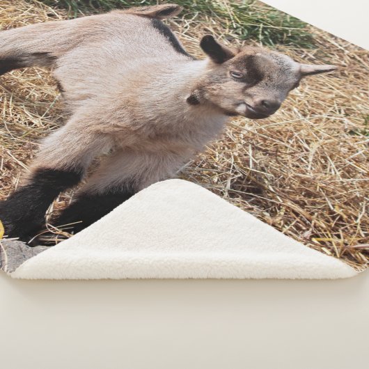 Niedliche KindSherpa Decke Sherpadecke (3/4)