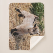 Niedliche KindSherpa Decke Sherpadecke (Vorderseite)