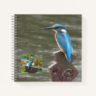 Niedliche Kingfisher (Birdwatchers Notebook) Notizblock