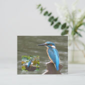 Niedliche Kingfisher DIY Postkarte (Stehend Vorderseite)