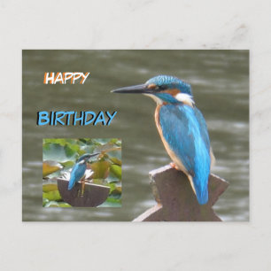 Niedliche Kingfisher Happy Birthday Postcard Postkarte