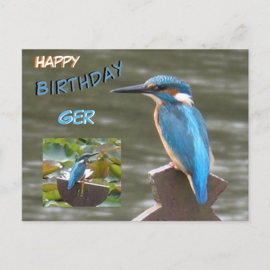 Niedliche Kingfisher Kust. Happy Birthday Postcard Postkarte (Vorderseite)