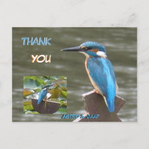 Niedliche Kingfisher Kust. Vielen Dank, Postkarte