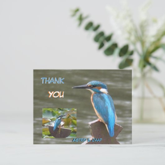 Niedliche Kingfisher Kust. Vielen Dank, Postkarte (Stehend Vorderseite)
