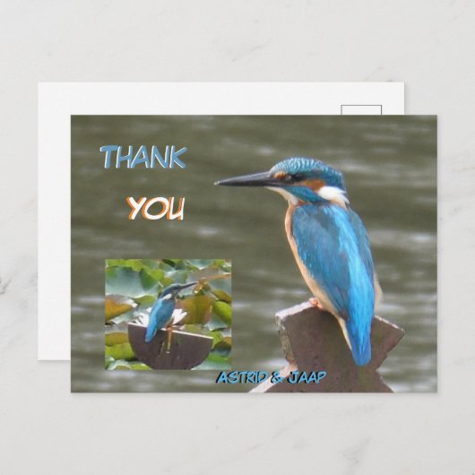 Niedliche Kingfisher Kust. Vielen Dank, Postkarte (Vorne/Hinten)
