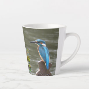 Niedliche Kingfisher Latte Tasse