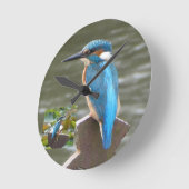 Niedliche Kingfisher-Uhr Runde Wanduhr (Winkel)